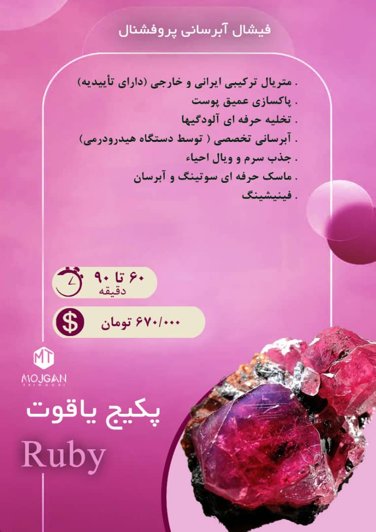 WhatsApp Image 2024-11-24 at 12.20.06 (1)