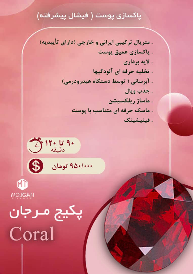 WhatsApp Image 2024-11-24 at 12.20.07 (1)